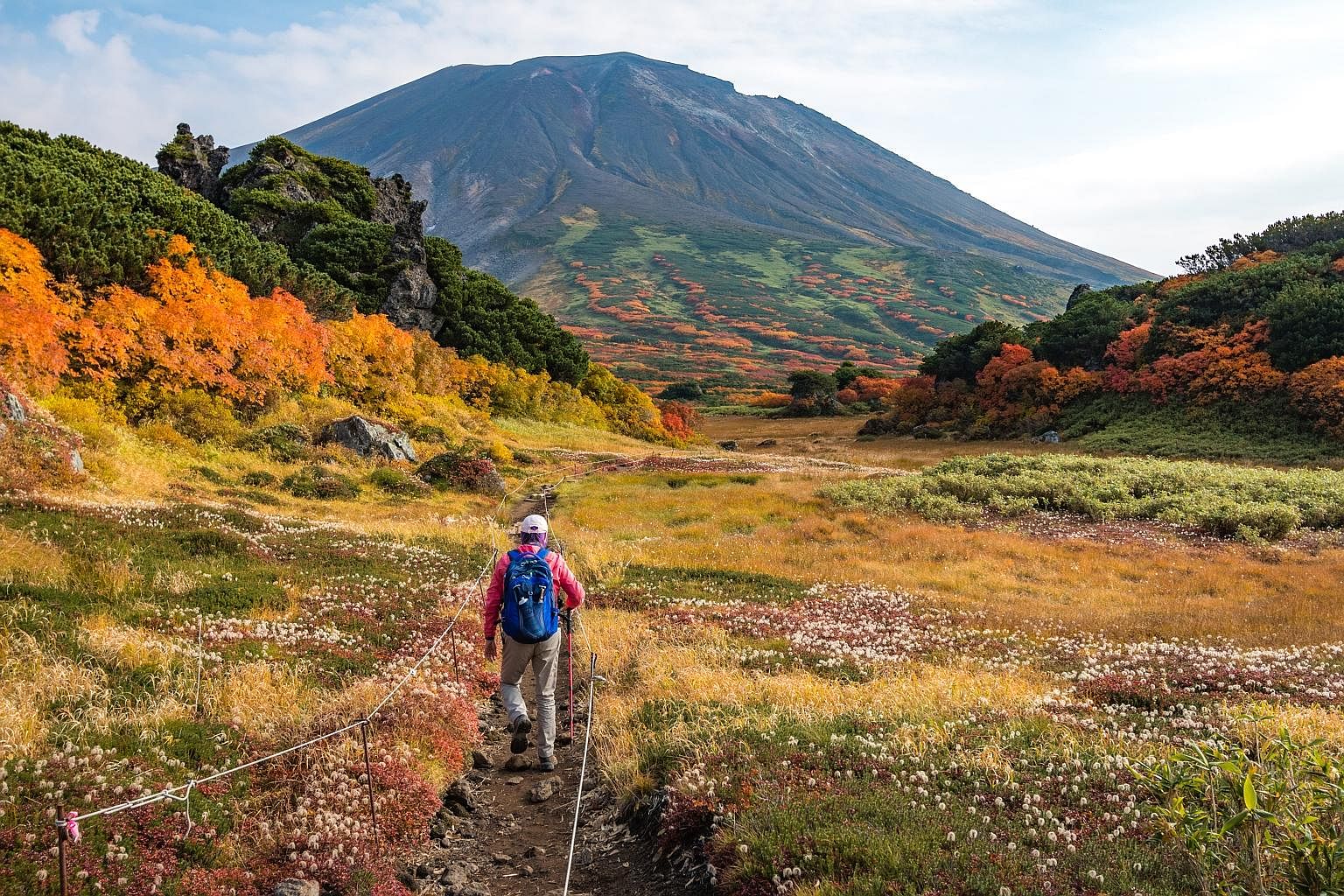 Hike among autumn colours on the trail towards Mount Asahi-dake in Daisetsuzan National Park. Forested Minoo Park's hidden attraction is its 33m waterfall. In autumn, the Sagano Scenic Railway sightseeing train in Kyoto takes passengers through a lan