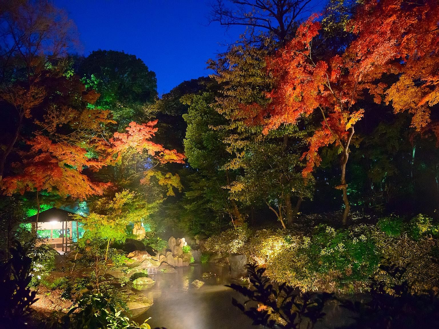 Hike among autumn colours on the trail towards Mount Asahi-dake in Daisetsuzan National Park. Forested Minoo Park's hidden attraction is its 33m waterfall. In autumn, the Sagano Scenic Railway sightseeing train in Kyoto takes passengers through a lan