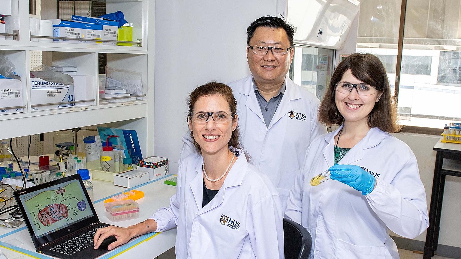 Associate Professor Ang Wee Han, Associate Professor Giorgia Pastorin and Dr Maria Babak (far right) with the new drug they are developing that can distinguish between cancer and healthy cells. PHOTO: NATIONAL UNIVERSITY OF SINGAPORE