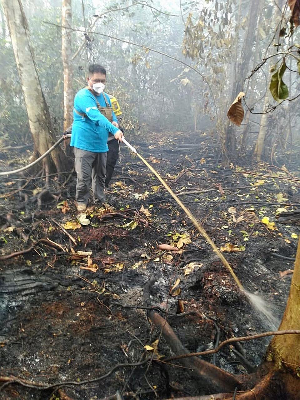 Mr Benjamin Tay, executive director of charity PM Haze (People's Movement to Stop Haze), helping community firefighters fight a peat fire in a forest near Tanjung Sari village in Riau province, Indonesia, during the weekend. PHOTO: COURTESY OF BENJAM