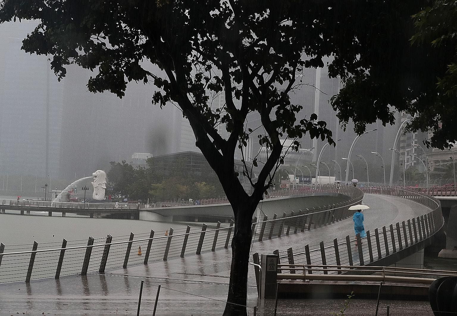 Rain drenched Singapore yesterday, bringing much-needed - even if temporary - relief from the haze. The National Environment Agency said rain is expected to continue over the next few days. But it added that Singapore may still experience occasional 