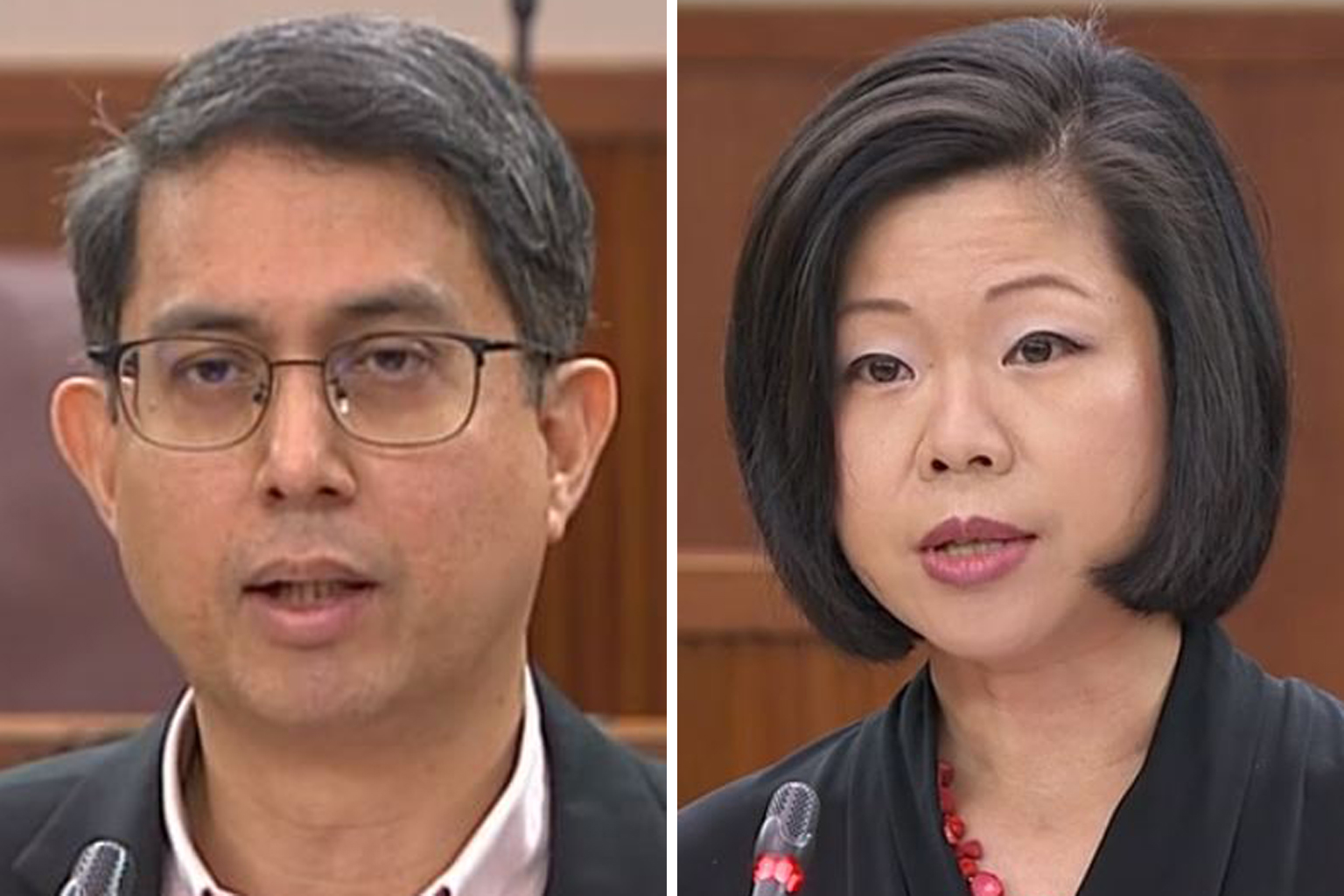 Dr Faishal Ibrahim said universities have core curriculum components that develop critical thinking skills. Ms Sim Ann said the Government is committed to supporting youth who want to help shape the country's future.