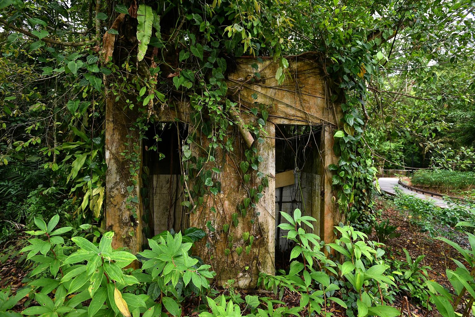 Remnants of village life, like this kampung hut, can be found along the trails in the park.