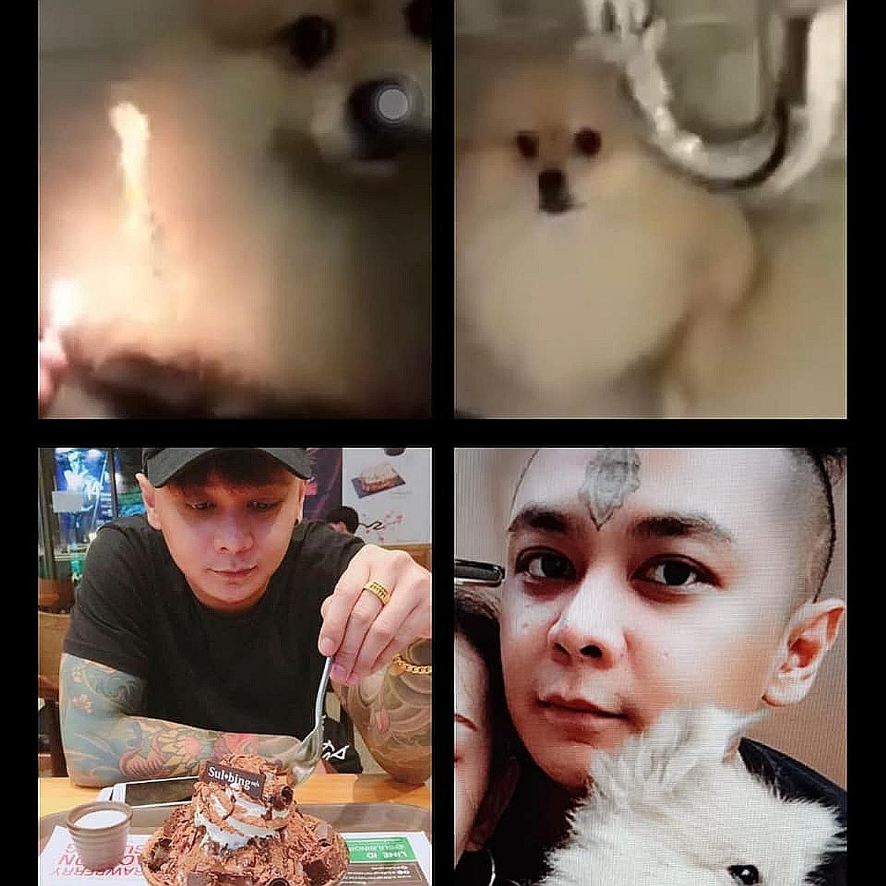 In his video posted on social media, a man hits a pomeranian with a helmet while the dog yelps and tries to hide.