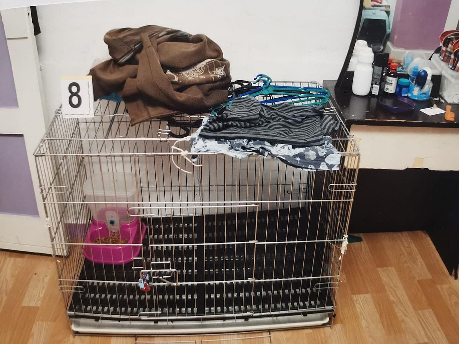 A silver rectangular metal cage that was allegedly used to confine the five-year-old boy. His parents are being tried for murder by common intention for inflicting severe scald injuries on him.