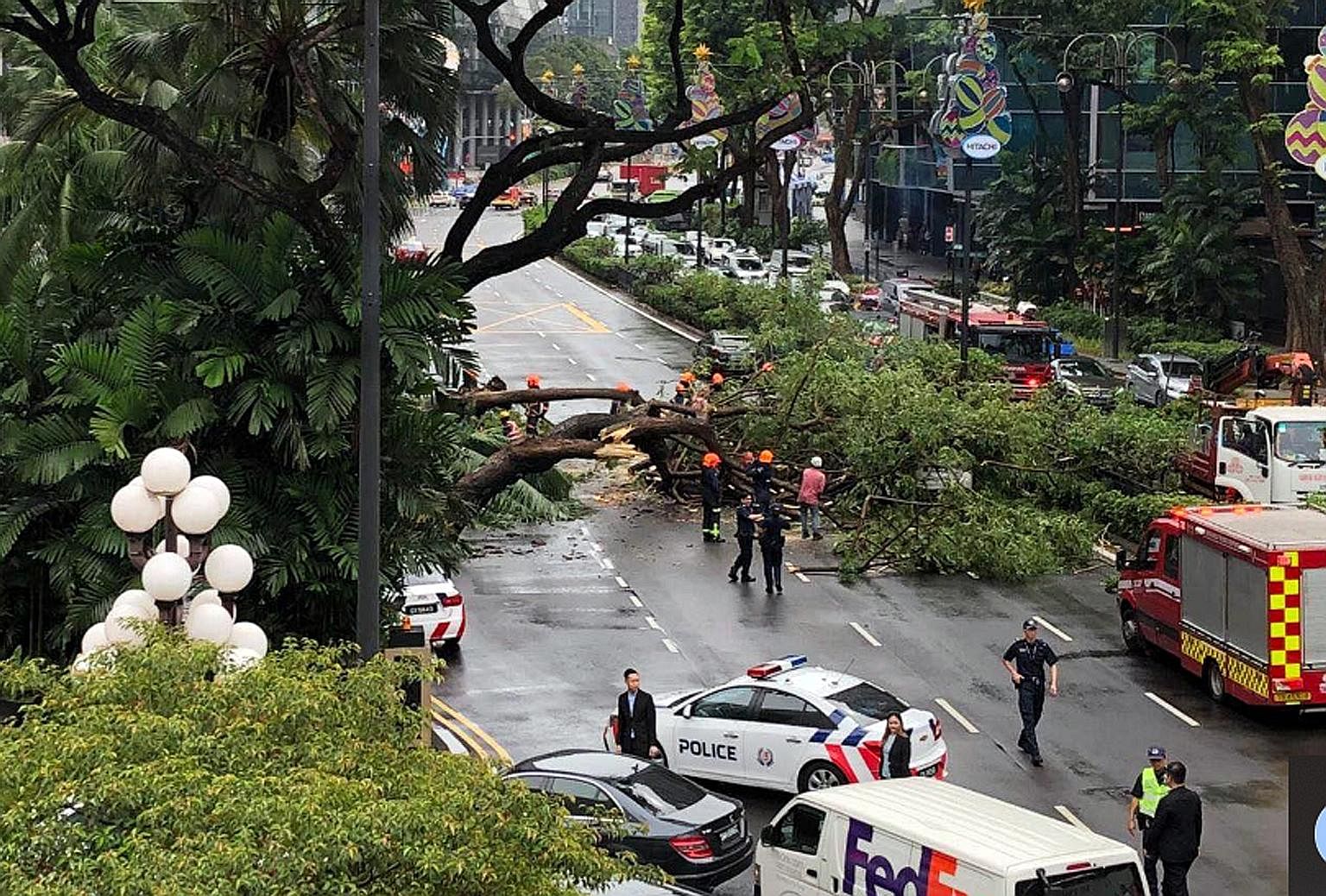 A toppled tree in Scotts Road, in front of Grand Hyatt Singapore hotel, left a driver trapped in his car for about 10 minutes yesterday. The man, who was travelling alone, escaped unscathed with the help of passers-by, although the rear windscreen of