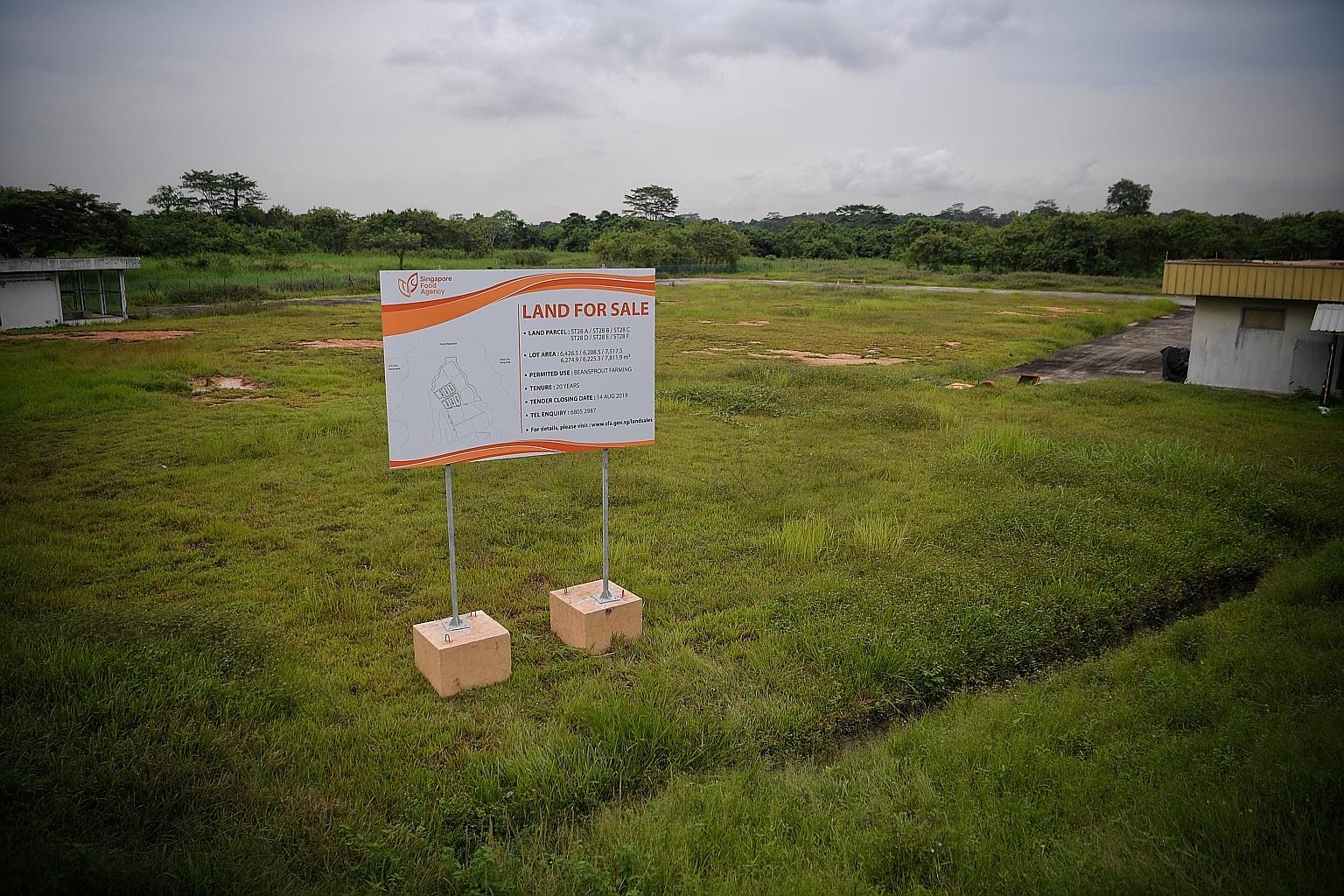 Land set aside for bean sprout farming in Lim Chu Kang. Two bean sprout farms and a vegetable farm have successfully tendered for five land parcels in the area.