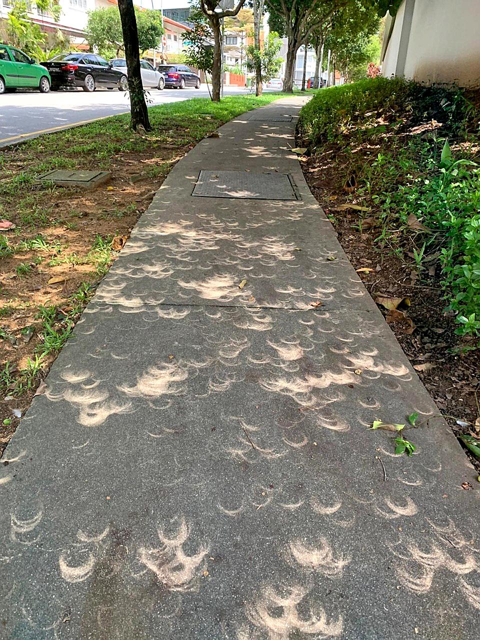 Crescent-shaped light patterns on the ground in the Holland Village area on Thursday. They were created by the pinhole effect when light passed between leaves of trees and projected patterns mirroring that day's annular solar eclipse's "ring of fire"