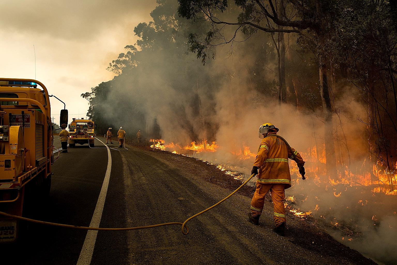 Volunteer firefighters tending to a controlled burn along Princess Highway in Australia's Meroo National Park on the New South Wales South Coast on Sunday to create a fire break. Recent rain has hampered efforts to complete such strategic burns as mo