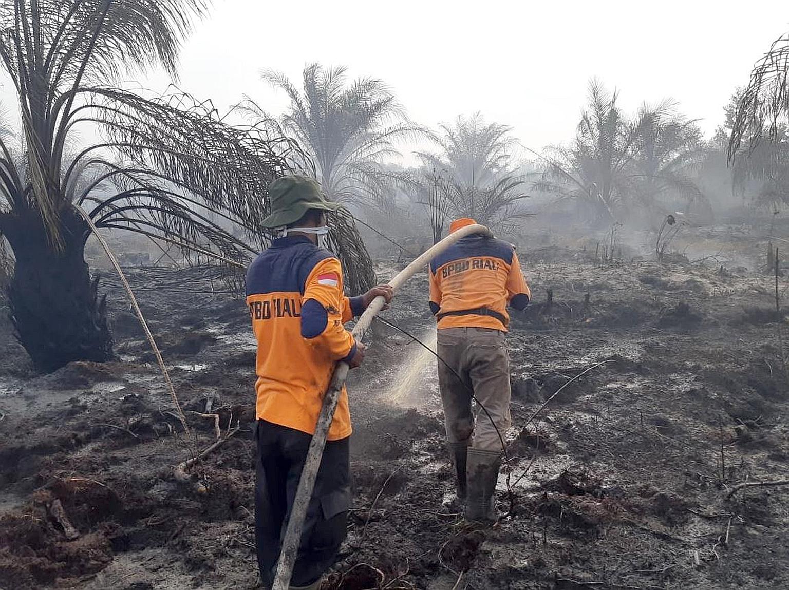 UNITED STATES: Firefighters working to control flames from a backfire in Santa Paula, California, on Nov 1 last year. PHOTO: AGENCE FRANCE-PRESSE AMAZON: A desolate burnt area of the Amazon rainforest near Porto Velho, Brazil, on Aug 26 last year. PH