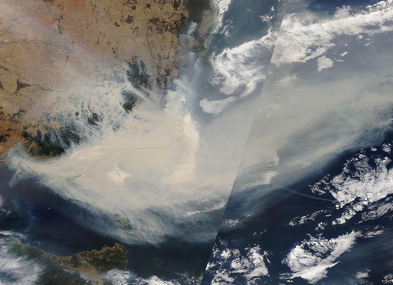 A Jan 3 satellite image showing thick smoke moving into the Tasman Sea from the Australian states of New South Wales and Victoria, where bush fires have been particularly bad. More than 11 million ha of forests and farmlands have been scorched since 