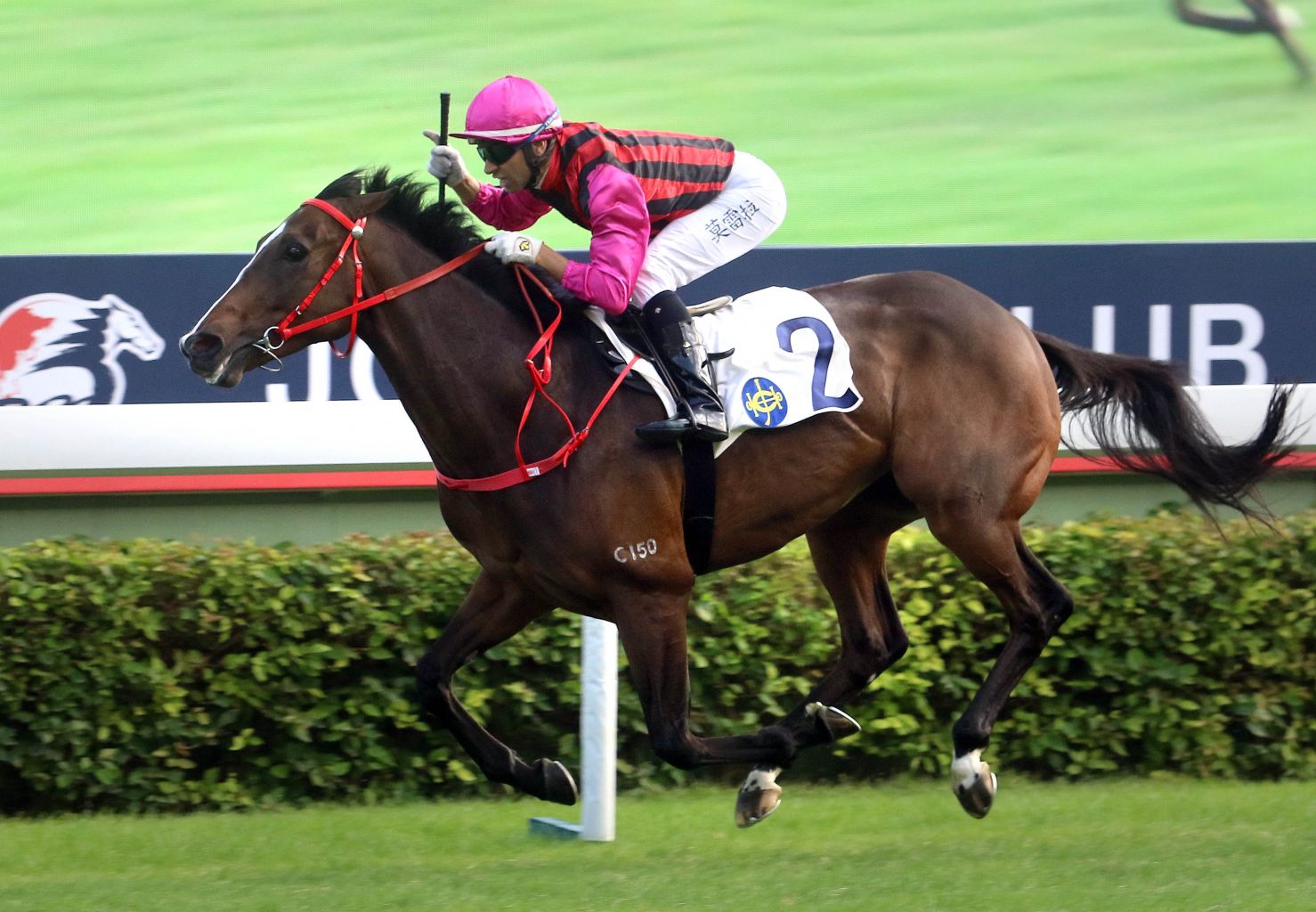Waikuku is a genuine star on the rise and he can cement his position as Hong Kong’s next big thing with a win in tomorrow’s HK$10 million (S$1.73 million) Group 1 Stewards’ Cup in Race 5 at Sha Tin. 