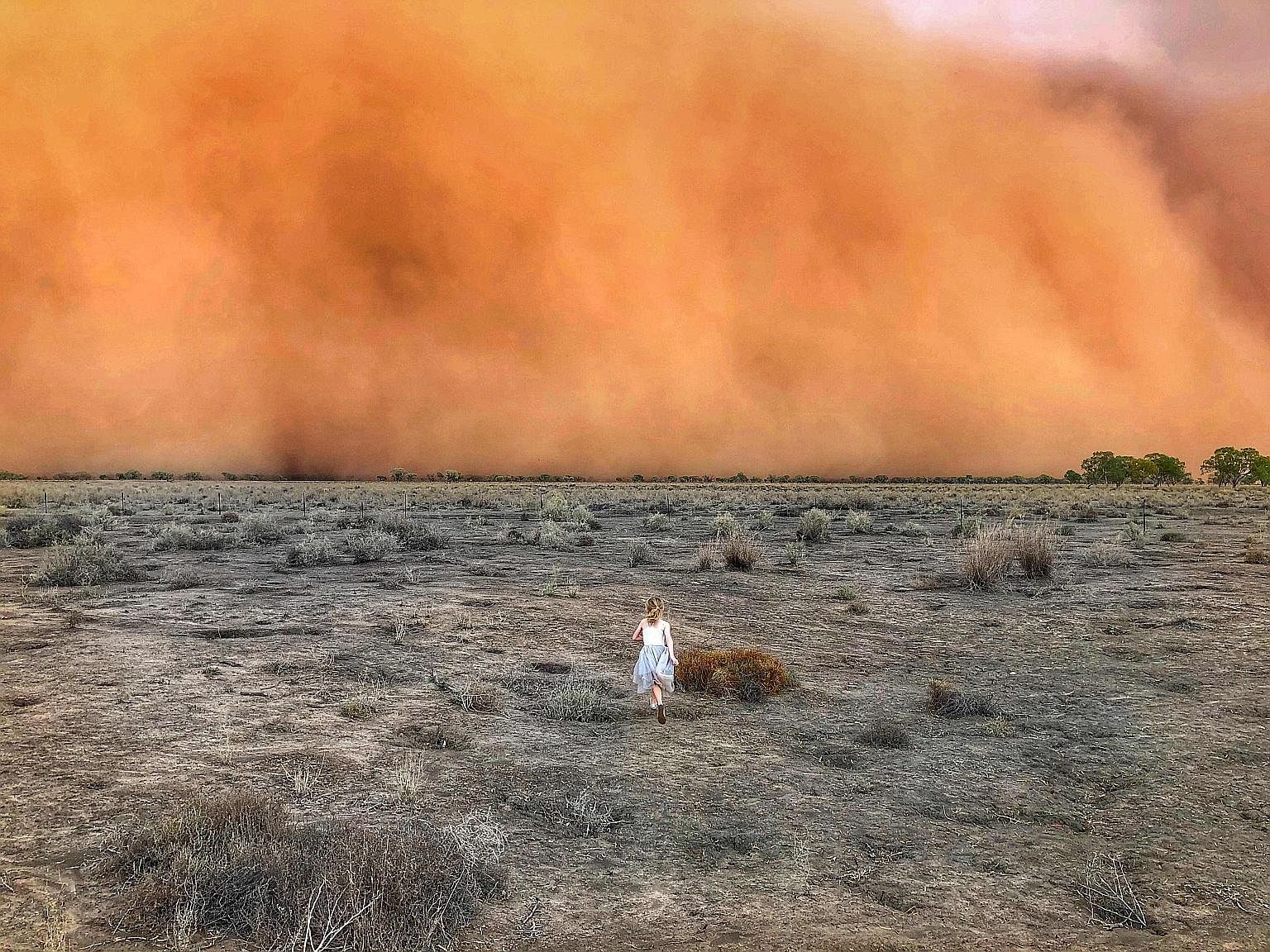 A girl running towards a dust storm in Mullengudgery, in New South Wales, last Friday. Vast clouds of thick red dust have smothered inland towns in Australia's most populous state, adding to the run of unusual weather that has disrupted the country s