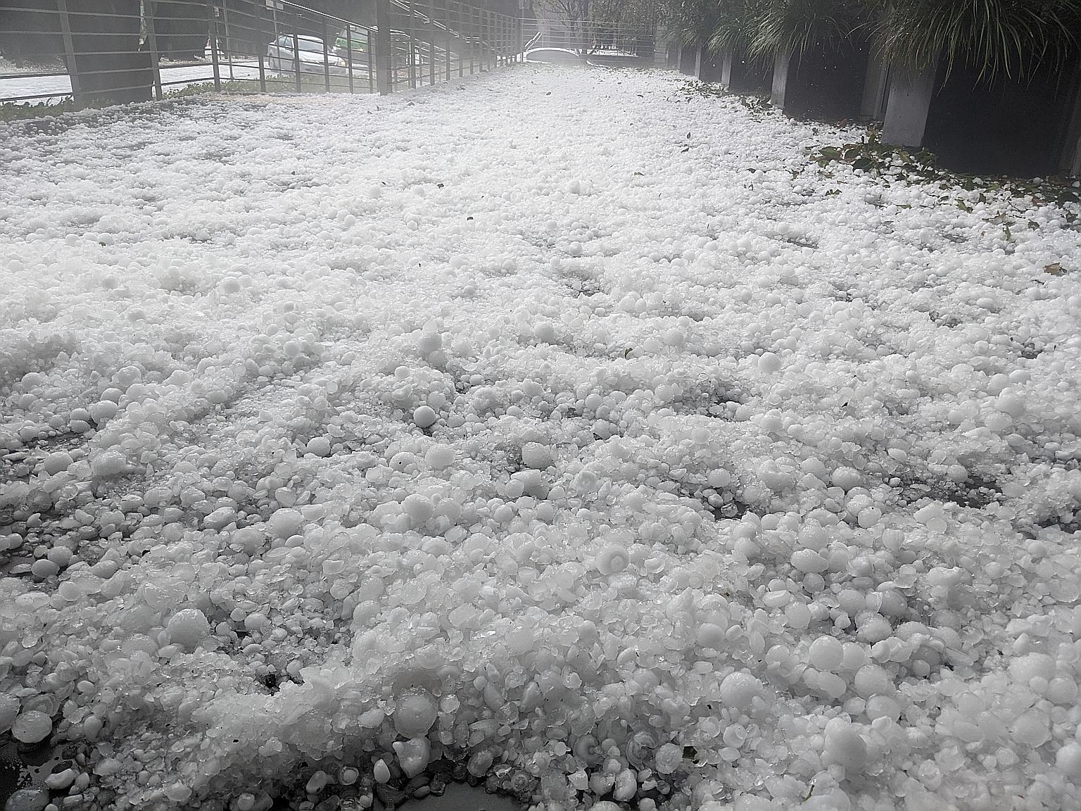 A carpet of hail the size of golf balls covering a street in Canberra, Australia, after a severe hail storm hit the city on Monday.