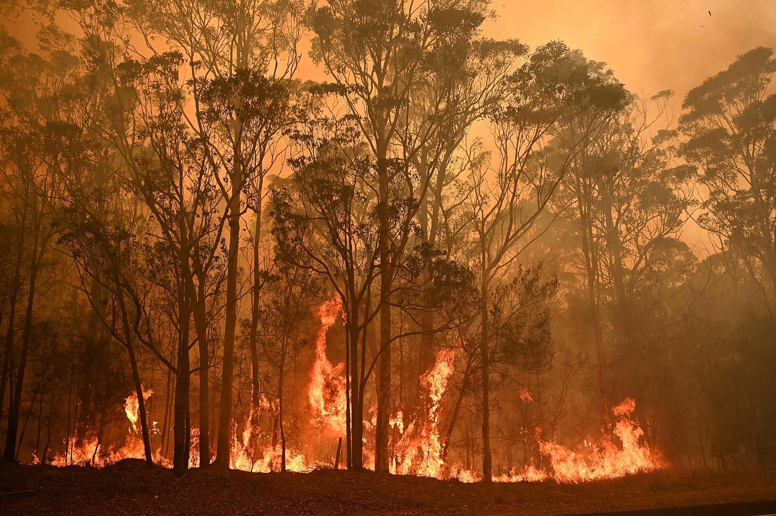 A bush fire in the town of Moruya, south of Batemans Bay, in New South Wales on Jan 4. The fires have killed 28 people so far and swept through an area larger than Portugal.