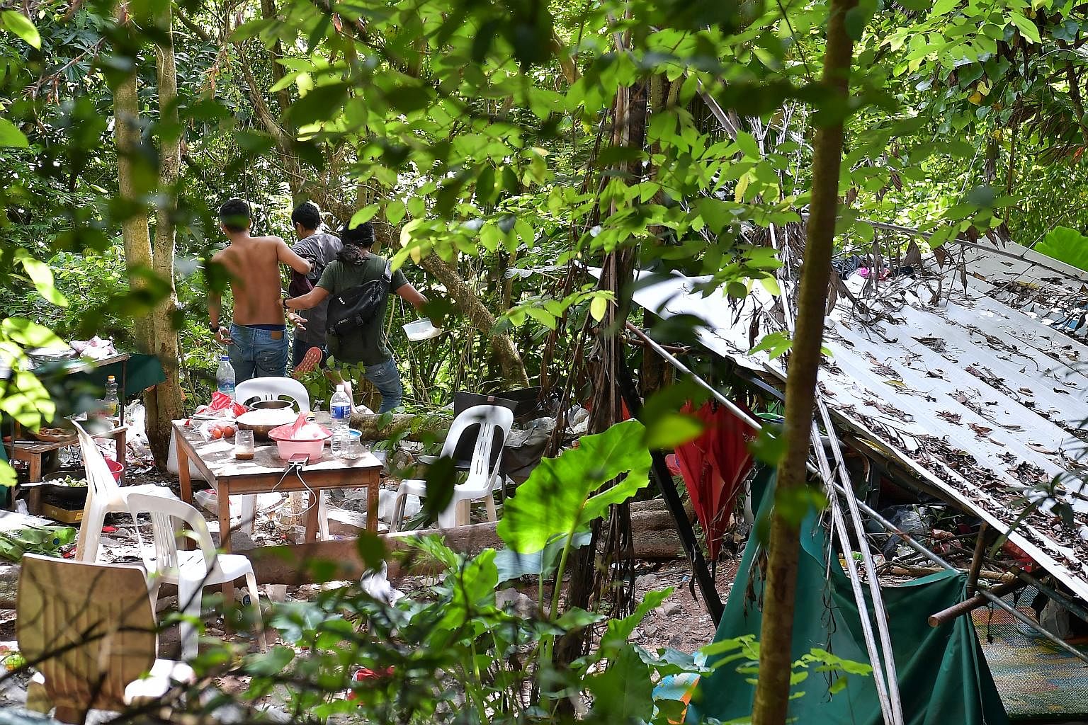 Suspected illegal immigrants fleeing down the slope from their forested hideout - located between the KJE and a slip road leading to Woodlands - after they spotted the ST team on Dec 27 last year. In their escape, they left their mobile phones on the