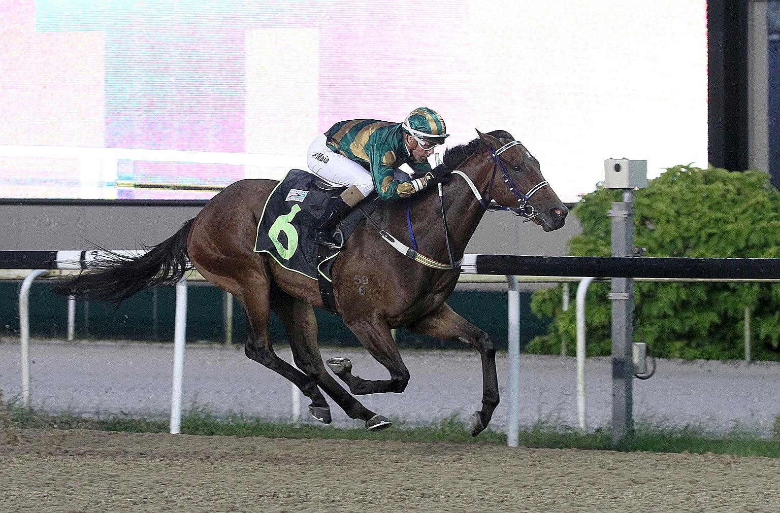 Healthy Star giving Brazilian jockey Ruan Maia an armchair ride in Race 2 at Kranji last night. ST PHOTO: SALWA SUANDI