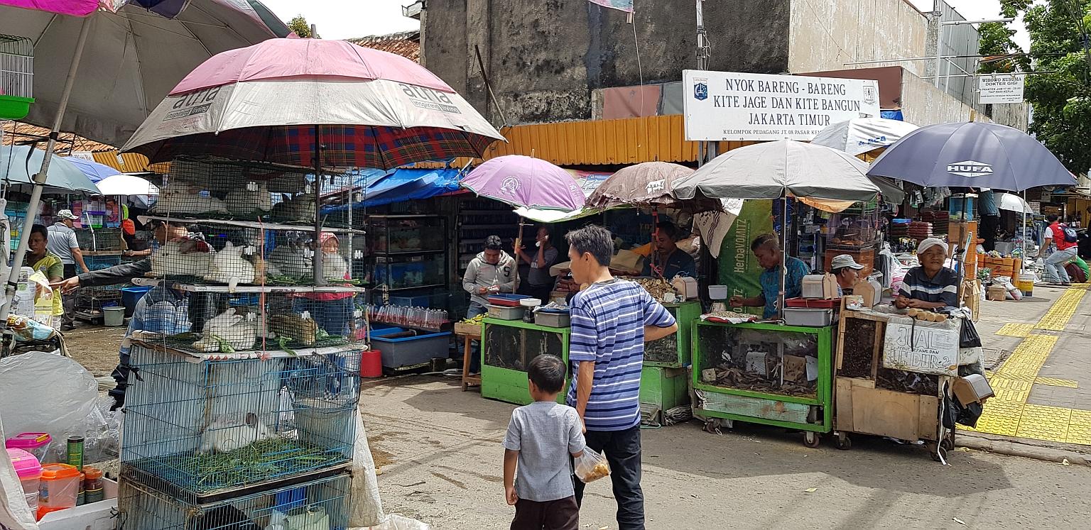 A wildlife market that sells exotic animals from snakes to bats in Jatinegara, East Jakarta. A coalition of animal rights organisations has urged President Joko Widodo to take measures so Indonesia would not become the next point of origin of a deadl