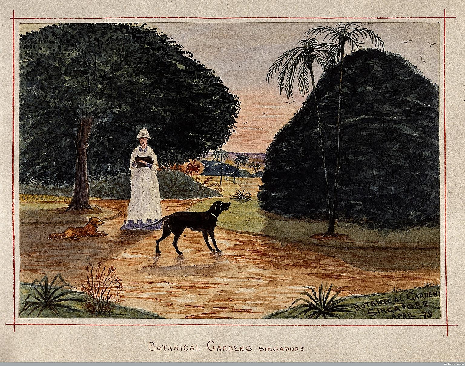 An illustration of a bird seller hawking his ware. Prof Barnard's book sheds light on other little-known facts about Singapore's past. For example, there was an active market for birds which were ferried on Bugis trading vessels from the eastern arch