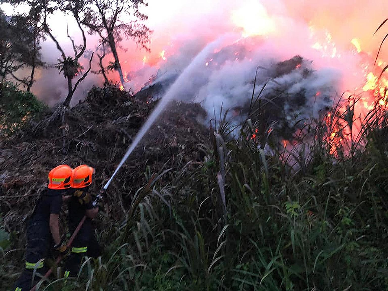The Singapore Civil Defence Force said in a Facebook post that dry vegetation and windy conditions in Lorong Semangka near Choa Chu Kang complicated firefighting efforts. Seven water jets were used to contain the blaze, while excavators were employed