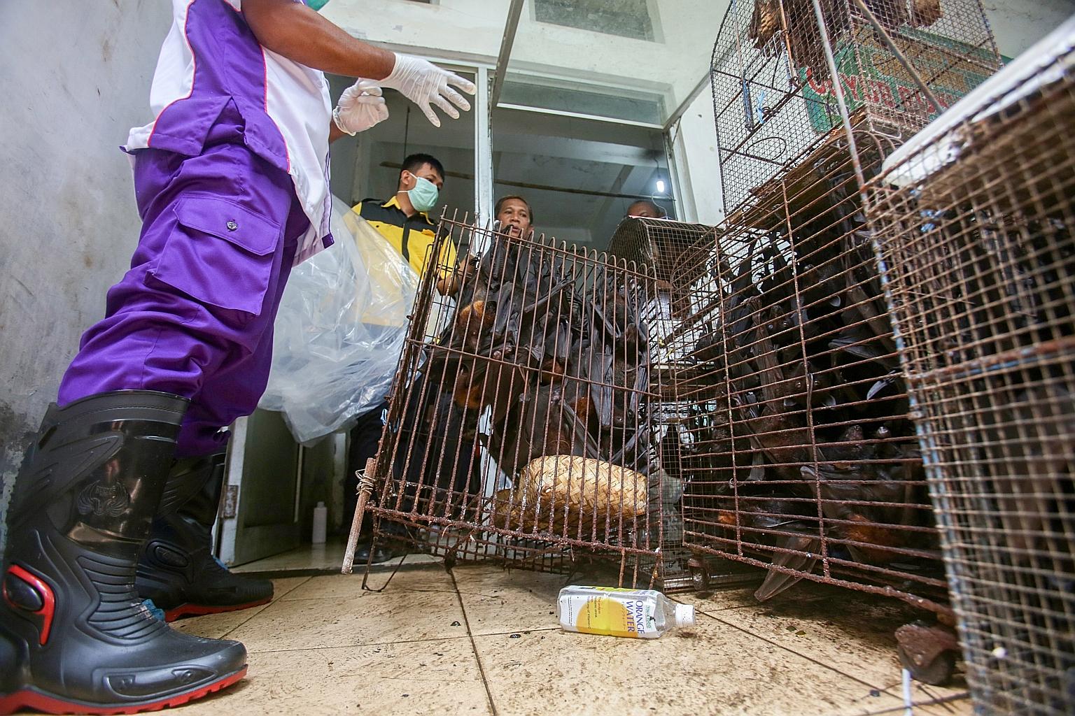 Indonesian officers preparing to burn bats in Solo, Central Java, yesterday, as the country stepped up precautions in the wake of the coronavirus outbreak.