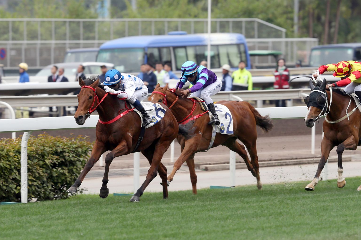 Enrichment (left) has turned his form around to grab second last start. He is well-weighted and tomorrow’s 2,000m trip in Race 6 suits him.