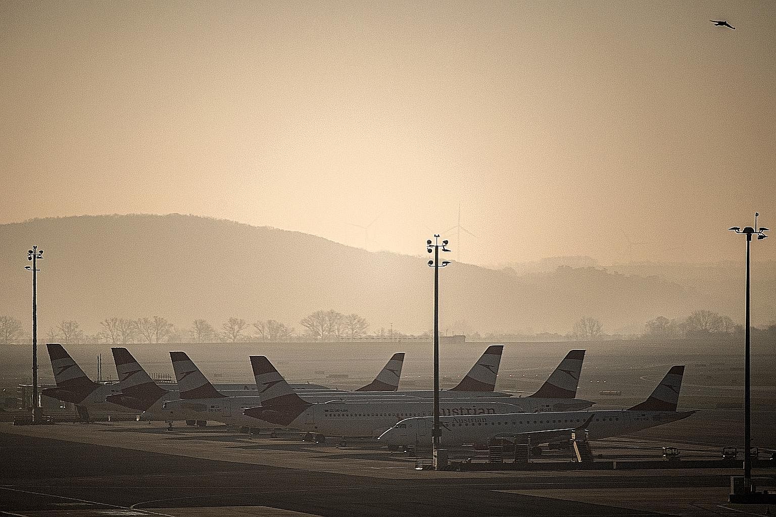 Grounded airplanes of Austrian Airlines parked at the Vienna International Airport last week. Iata's updated report notes that beyond the top 30 players, all other airlines have weak balance sheets, high debt and barely enough cash to cover three mon