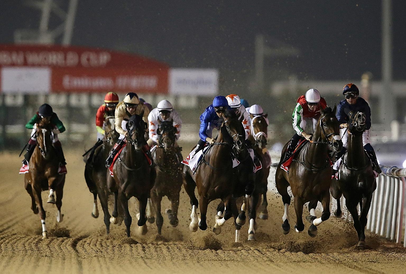 Thunder Snow (jockey in blue) winning its second straight Dubai World Cup last year.