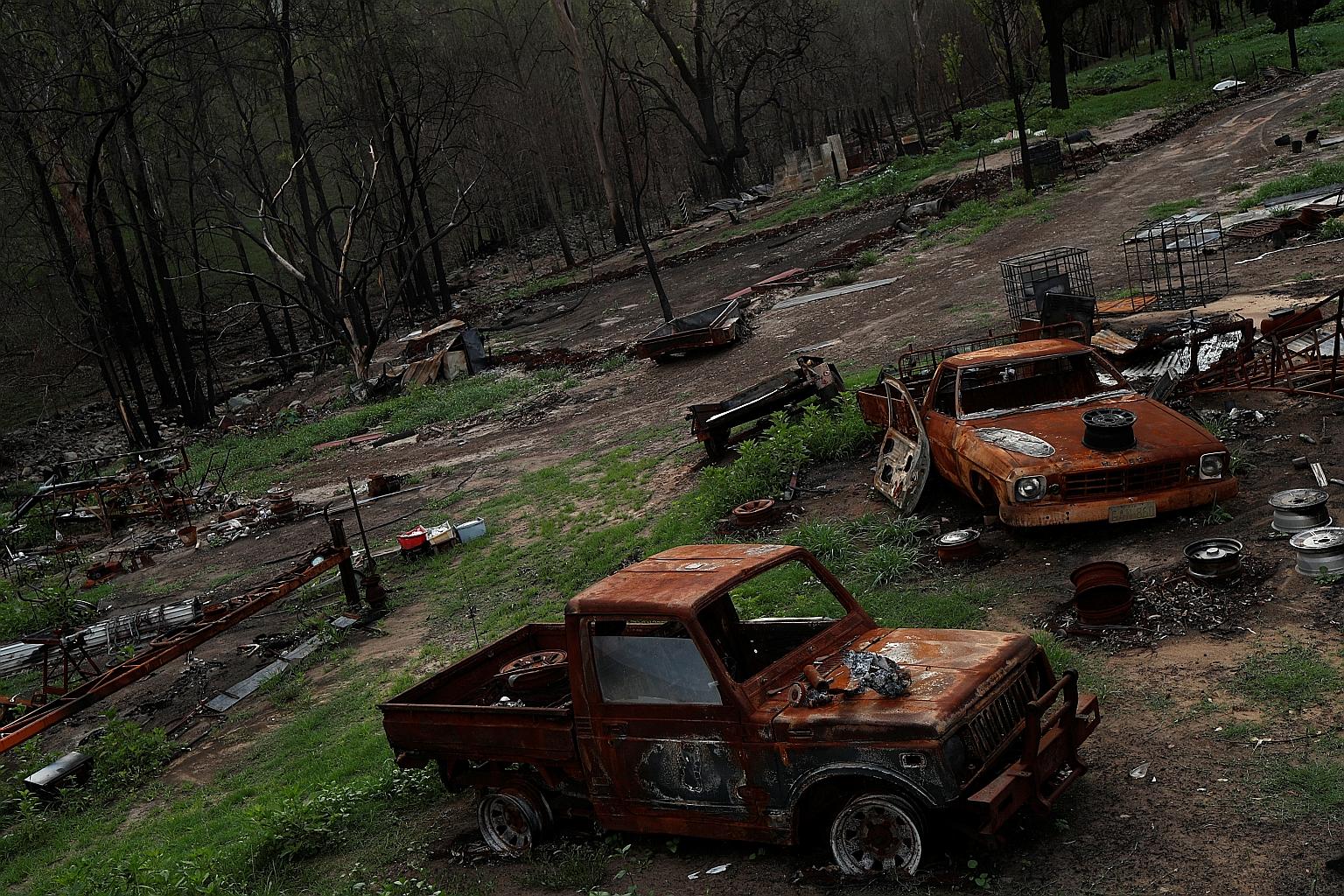 Australia's recent devastating fire season killed 33 people and a billion native animals. It also destroyed some 2,500 homes and a wilderness area the size of South Korea.