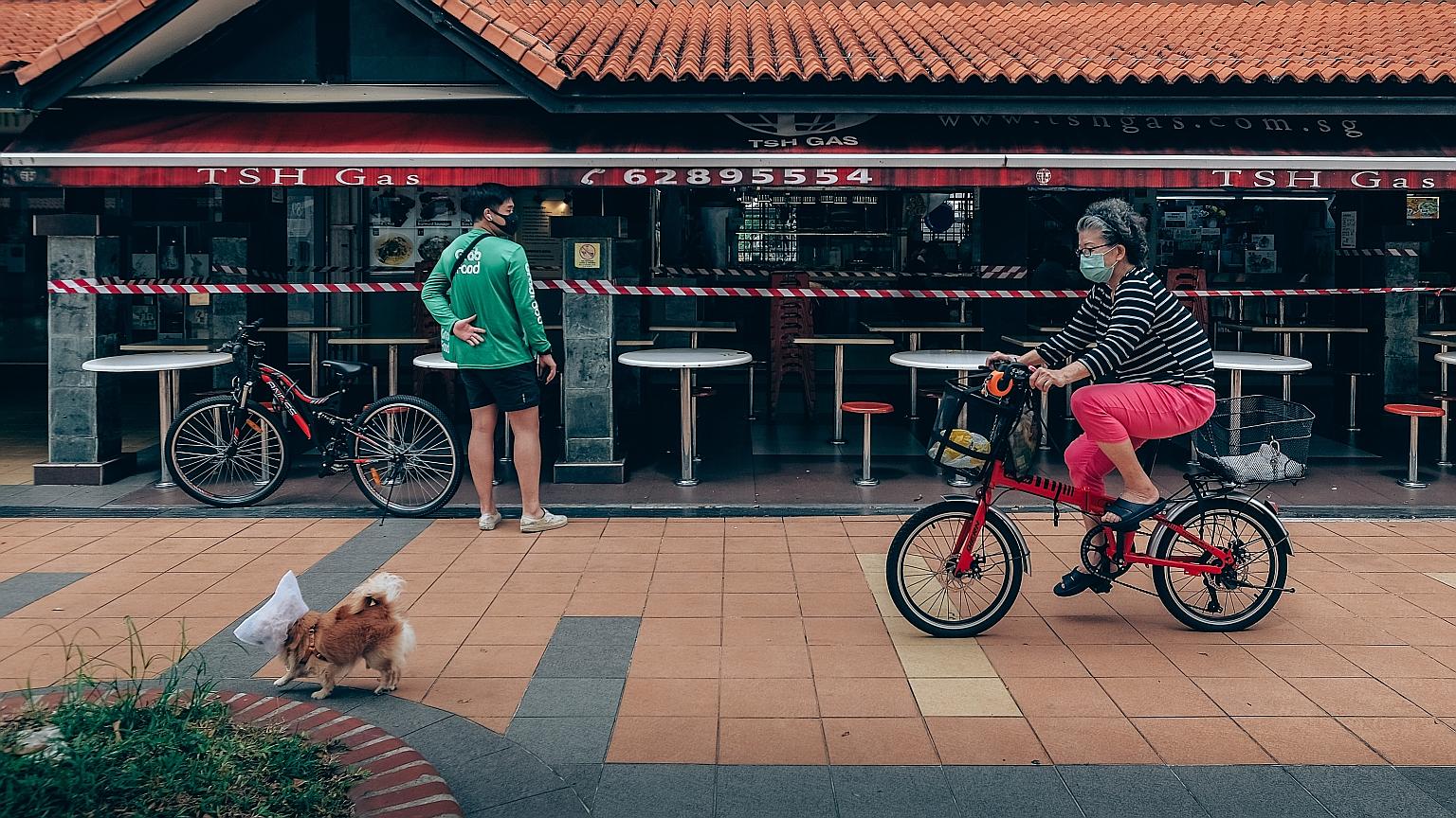 A pet dog, with its head shielded with netting, and its owner in Toa Payoh on Monday. All 14 Covid-19 deaths in Singapore involved people aged 64 to 95, showing just how vulnerable older people are to the disease. ST PHOTO: GAVIN FOO