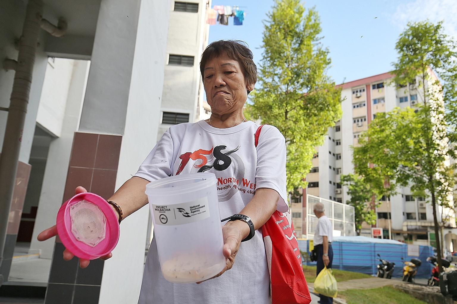 A Yishun resident who took part in the Wolbachia trial last year. A field study in the area showed success in suppressing the urban Aedes aegypti mosquito population at test sites last year.