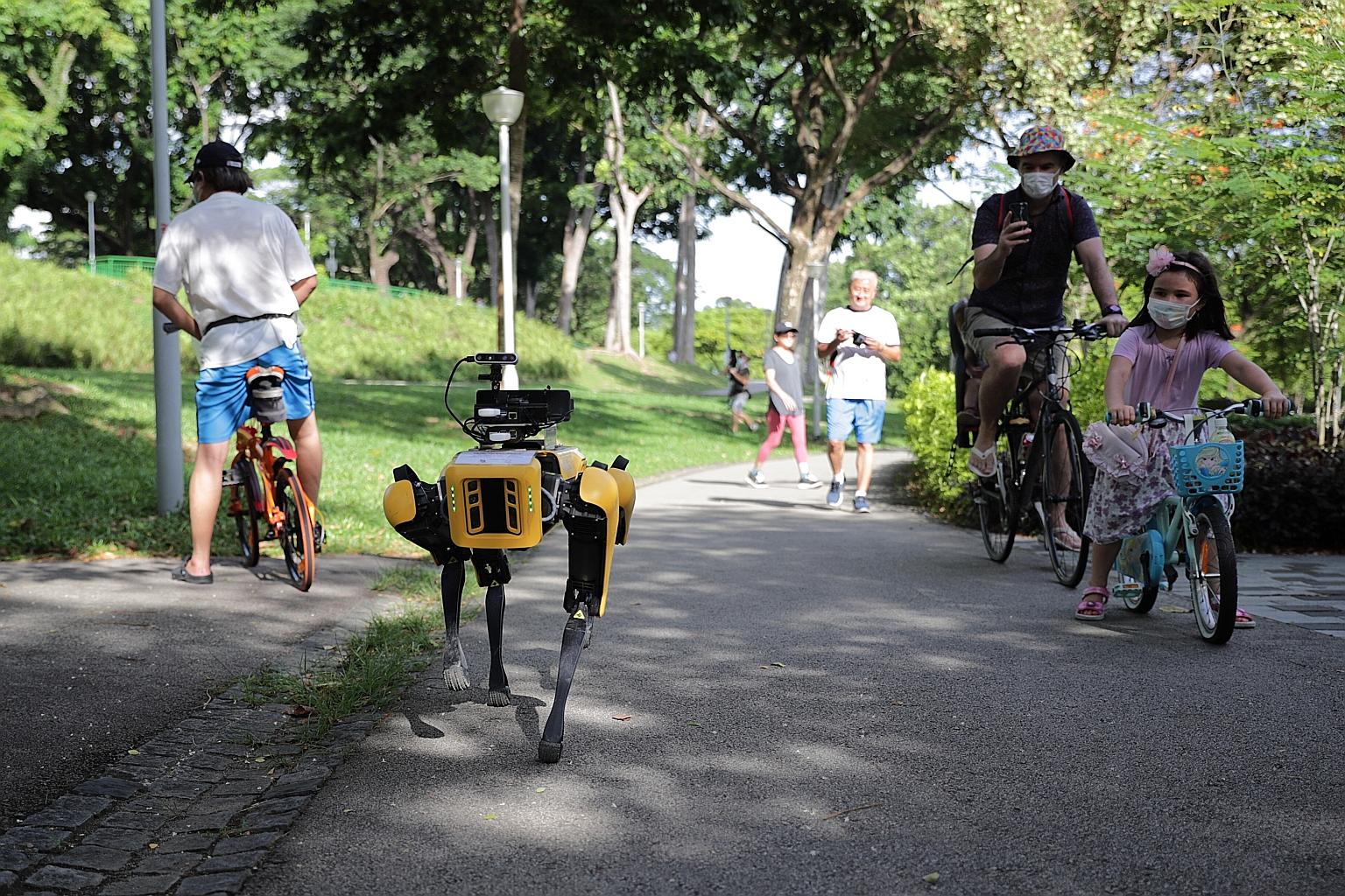 Curious park goers checking out Spot, a four-legged robot that started patrolling Bishan-Ang Mo Kio Park yesterday to remind people of safe distancing measures. It is fitted with cameras, enabled by video analytics developed by GovTech, to help it es