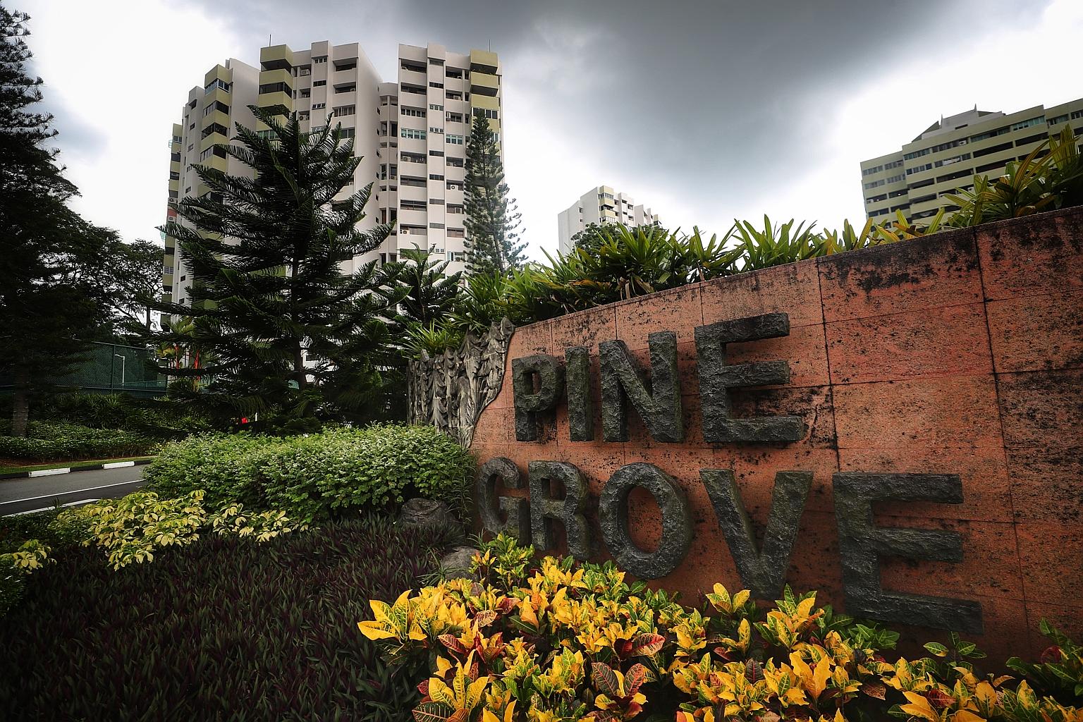 The 22nd management council of Pine Grove, whose term was due to end last November, refuses to recognise the outcome of the annual general meeting at which a fresh team was elected to form the 23rd MC.