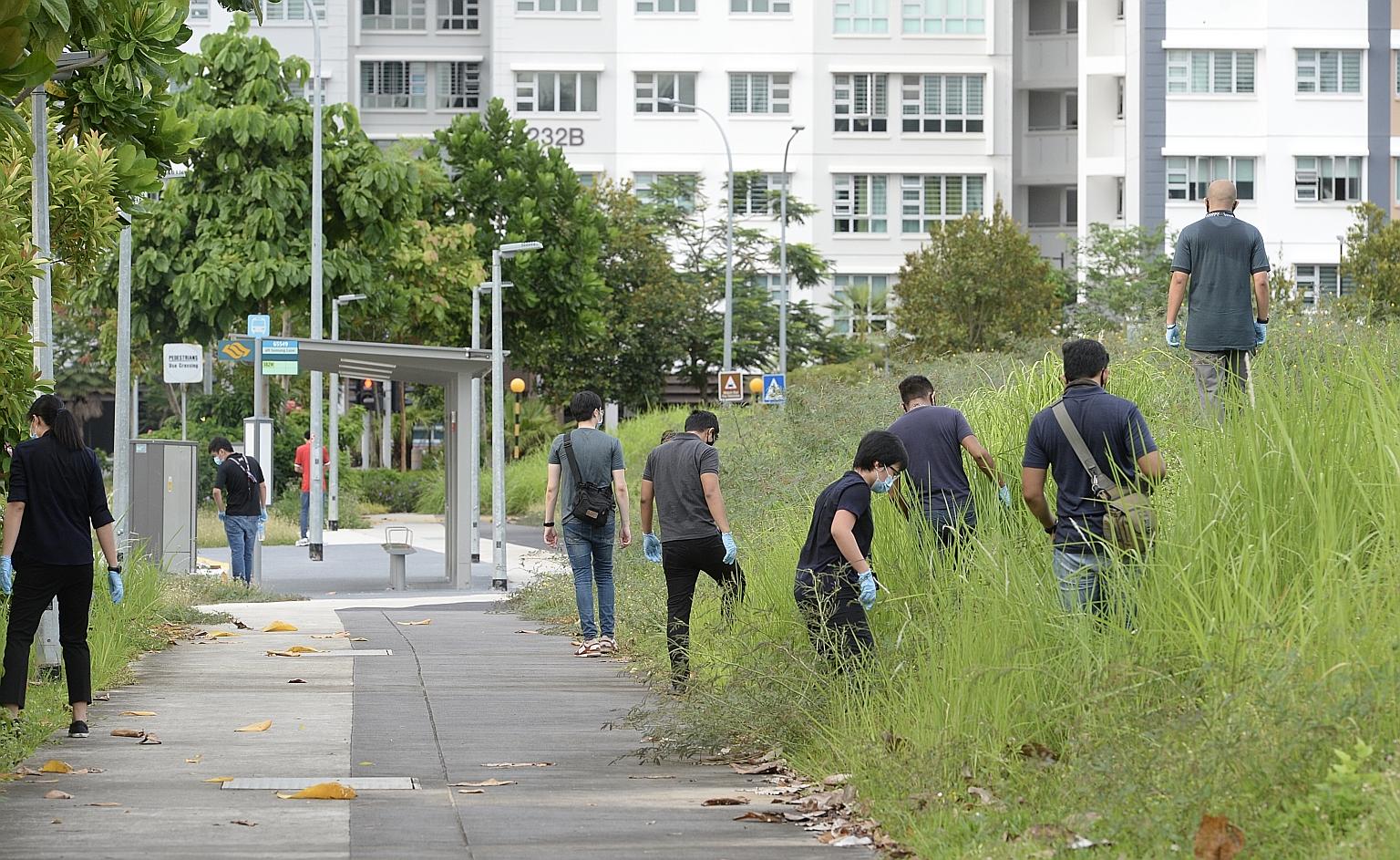 Police officers (above) combing the vegetated area near the scene of Sunday's attack on Mr Tay Rui Hao (left) in Punggol Field on Monday. Mr Tay's father reportedly said his son had texted him earlier in the day to tell him he was heading out for a r
