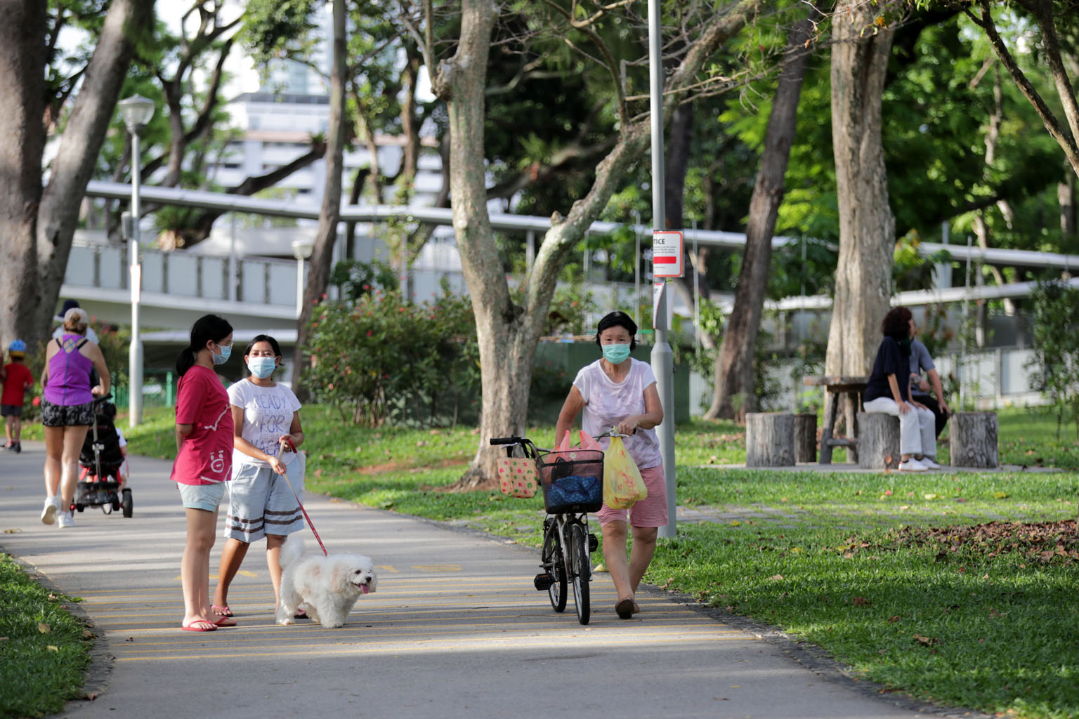 The Ministry of Health's director of medical services Kenneth Mak said that reaching herd immunity to Covid-19 through natural infection in the population would lead to many deaths and infections and overwhelm the healthcare system, adding that it wo