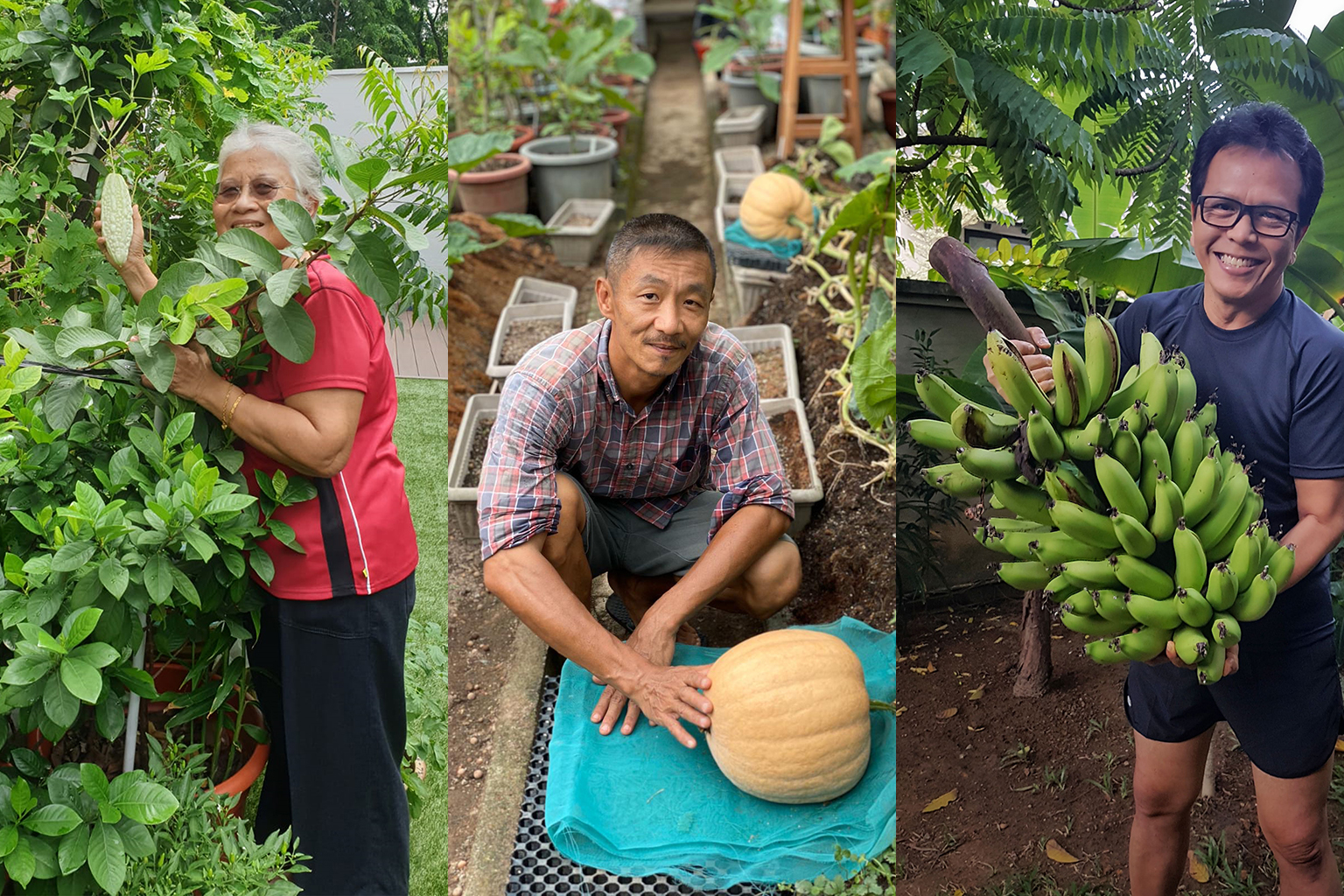 (From left) Retired educator Mahaya Menon, pastry chef Alex Ng and retired photographer Mohd Ishak in their home gardens. 
