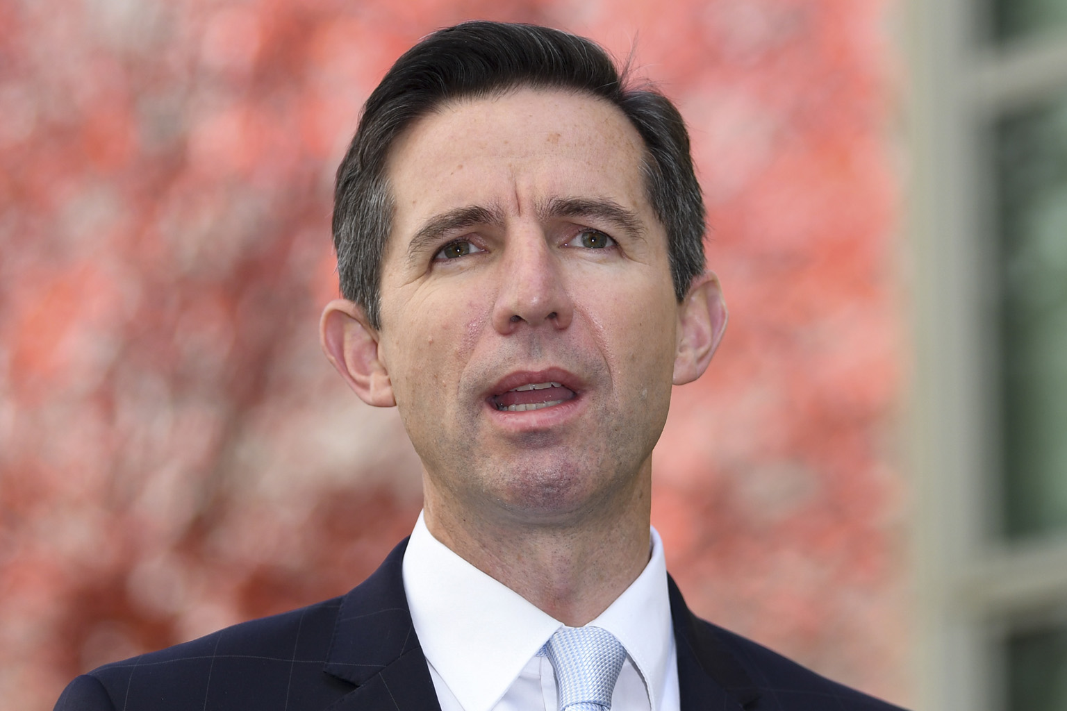 Australian Trade Minister Simon Birmingham has requested talks on trade issues with his Chinese counterpart.