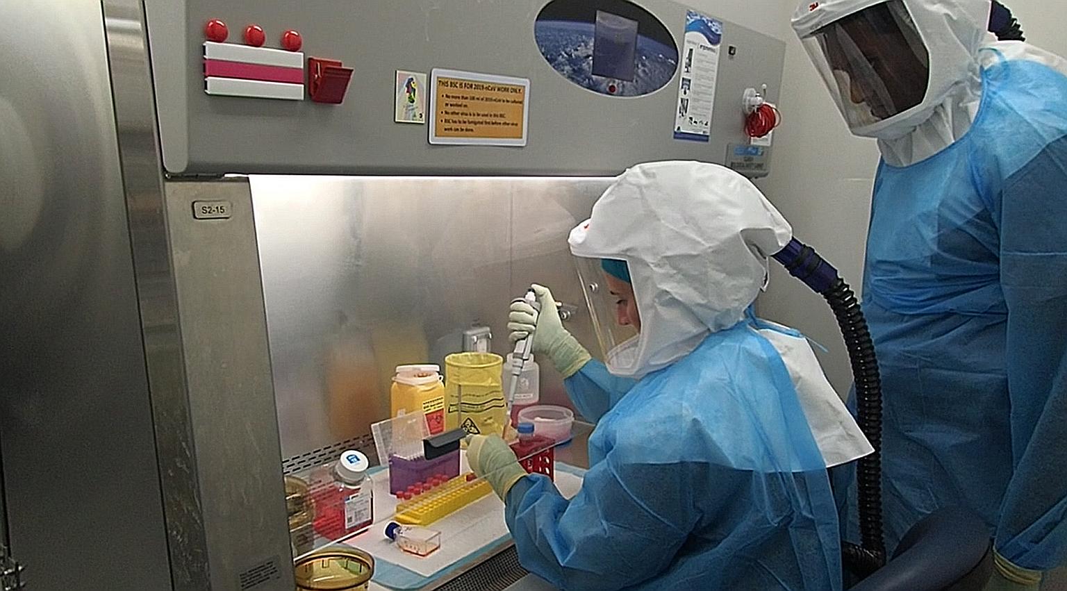 Assistant Professor Danielle Anderson and laboratory assistant Velraj Sivalingam working on the virus that causes Covid-19 in a lab at Duke-NUS Medical School.