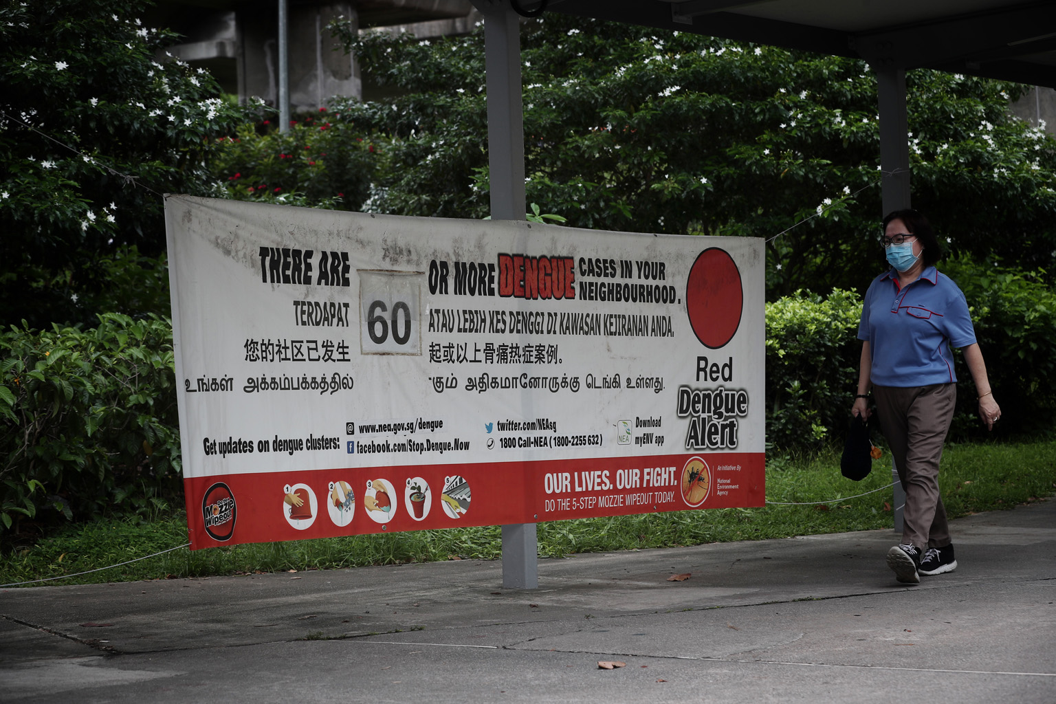More than 300,000 bottles of mosquito repellent are being given out by polyclinics and general practitioner clinics. Those suspected of having dengue should apply the repellent regularly, said NEA. PHOTO: NEA NEA said 529 dengue cases were reported h