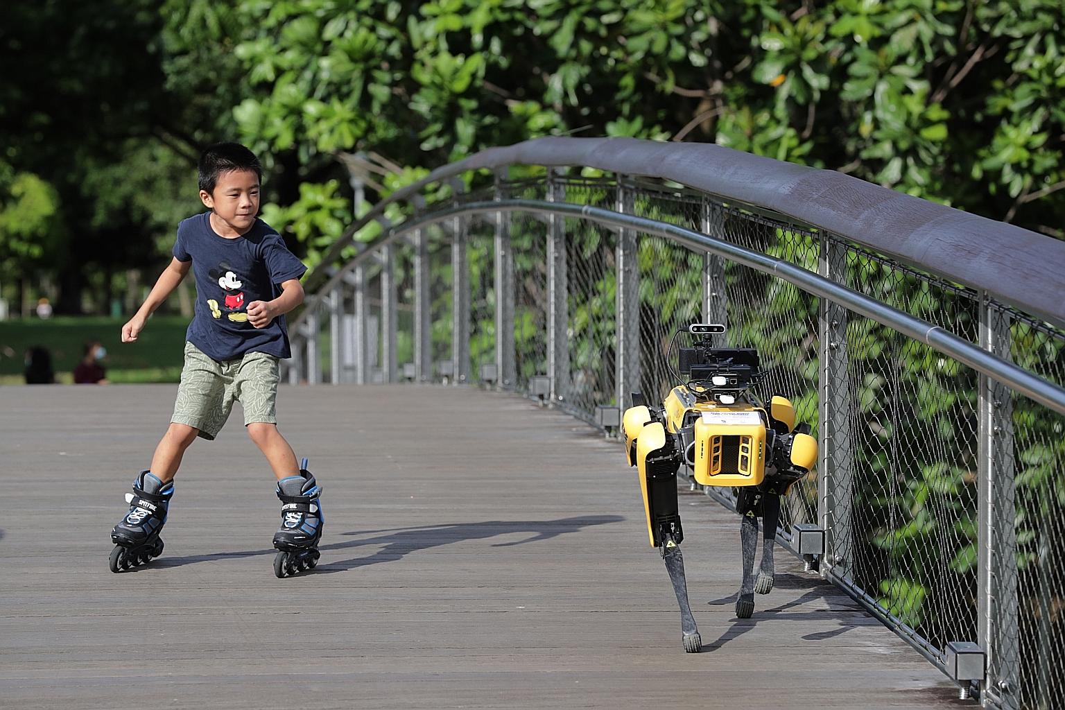 A four-legged robot patrolling Bishan-Ang Mo Kio Park last month to remind people about safe distancing by playing a recorded message, in a pilot trial by the National Parks Board and the Smart Nation and Digital Government Group. Robotics has been i