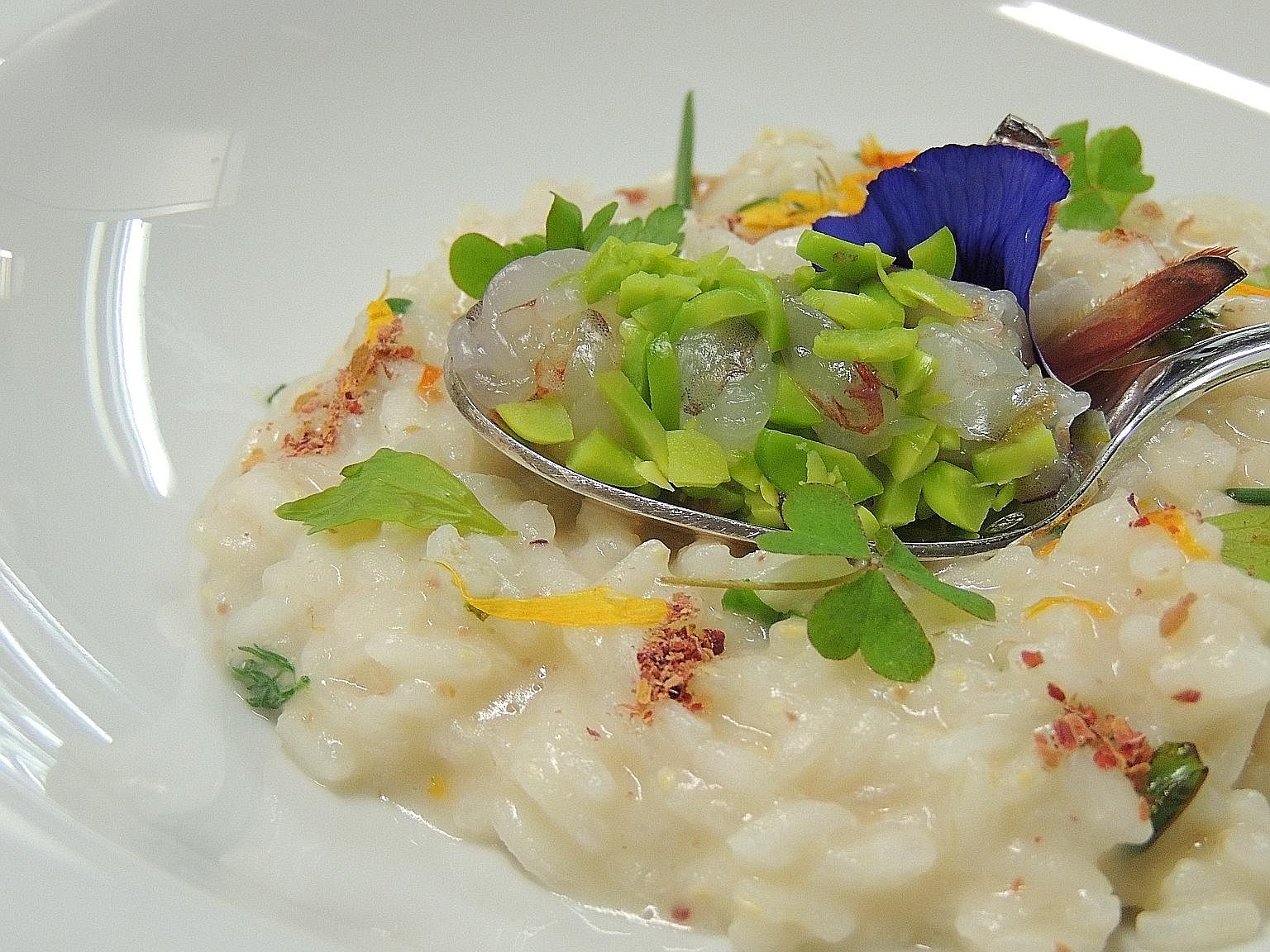 Risotto, Italy.