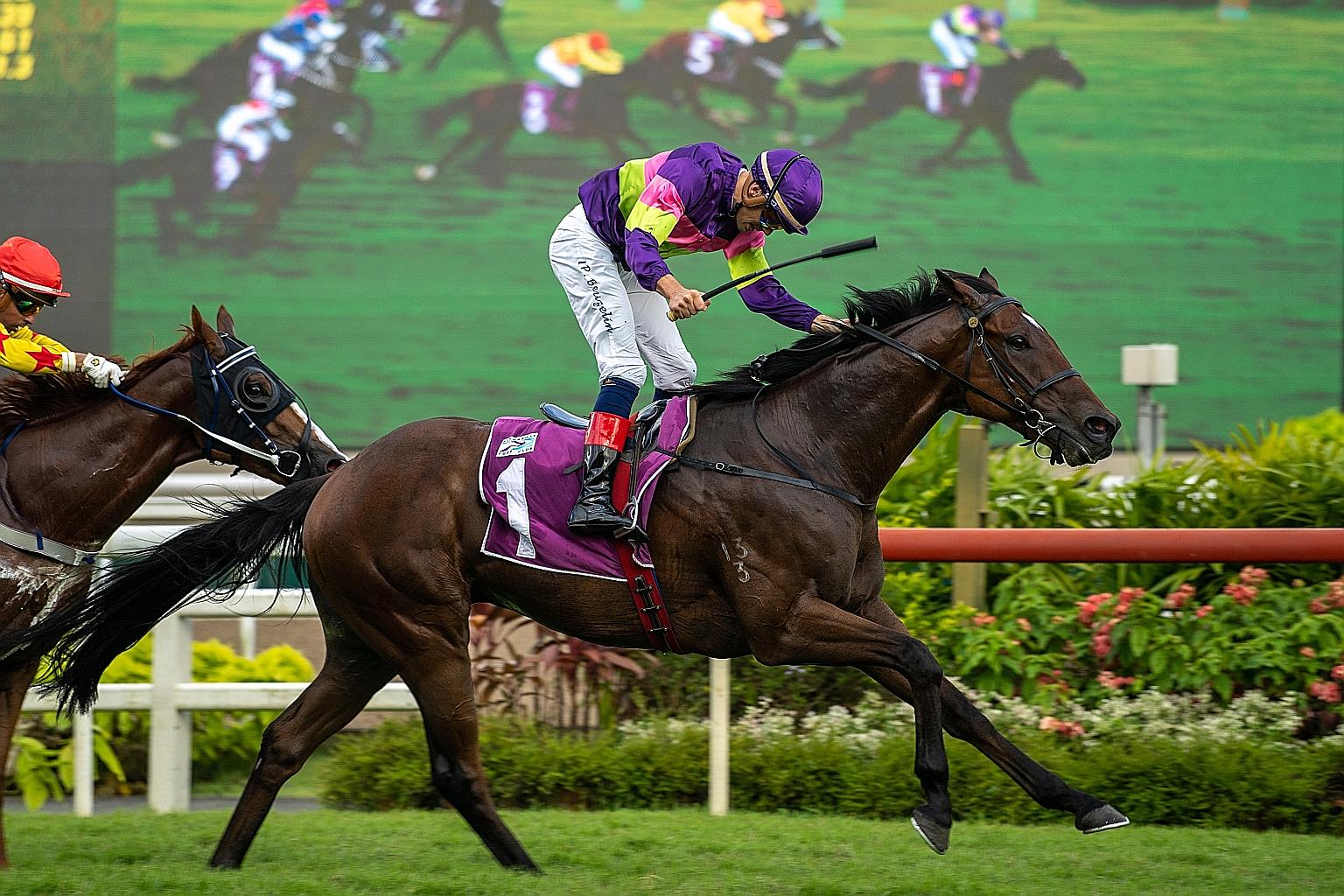Countofmontecristo winning the $400,000 Group 2 Chairman's Trophy over 1,600m on turf on Feb 15. Winning jockey Louis-Philippe Beuzelin will be aboard again in Race 12 at Kranji today.