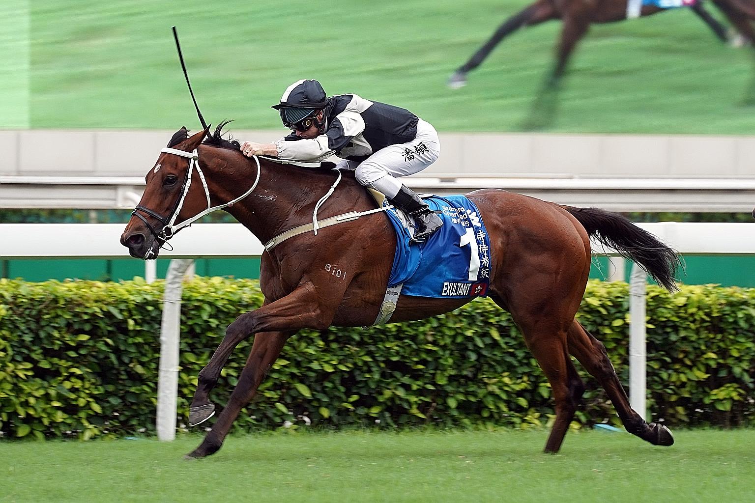 Exultant is the first horse, since River Verdon in 1991-92, to win the Horse of the Year title in the same season after capturing both the Group 1 FWD Queen Elizabeth II Cup and the Group 1 Standard Chartered Champions & Chater Cup.