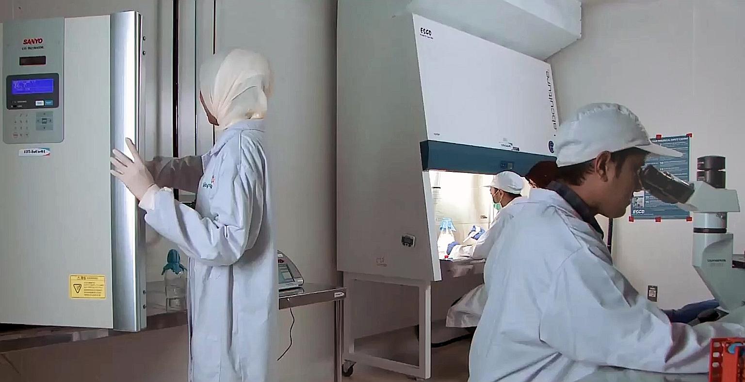 Bio Farma, which has been working with Chinese firm Sinovac on a Covid-19 vaccine since April, said Phase III trials would begin next month with vaccine candidates from Sinovac. If the trial is successful, production will begin in the first quarter o