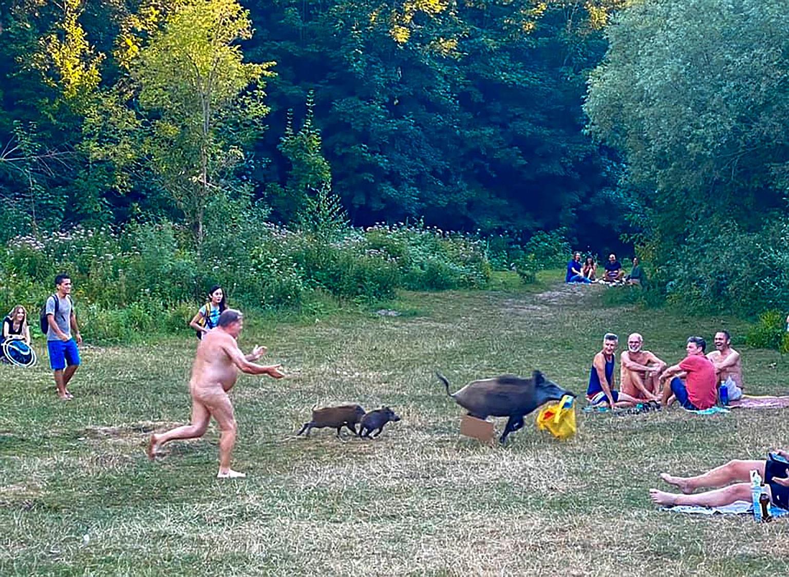 The man chasing the boar, which ran off with a bag containing his laptop while he was sunbathing at Teufelssee lake in Berlin.