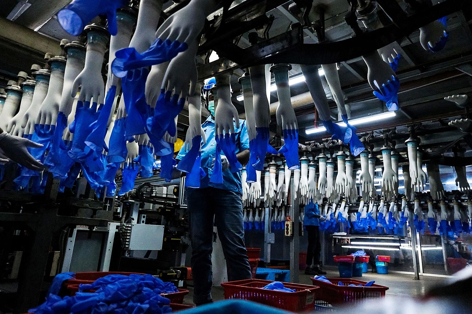 A production line at a Top Glove factory in Selangor in February. Malaysia-based Top Glove, the world's largest glove manufacturer, closed at $8.19 yesterday, down 9.3 per cent with 2.8 million shares traded. It had rallied to a peak last Thursday wh