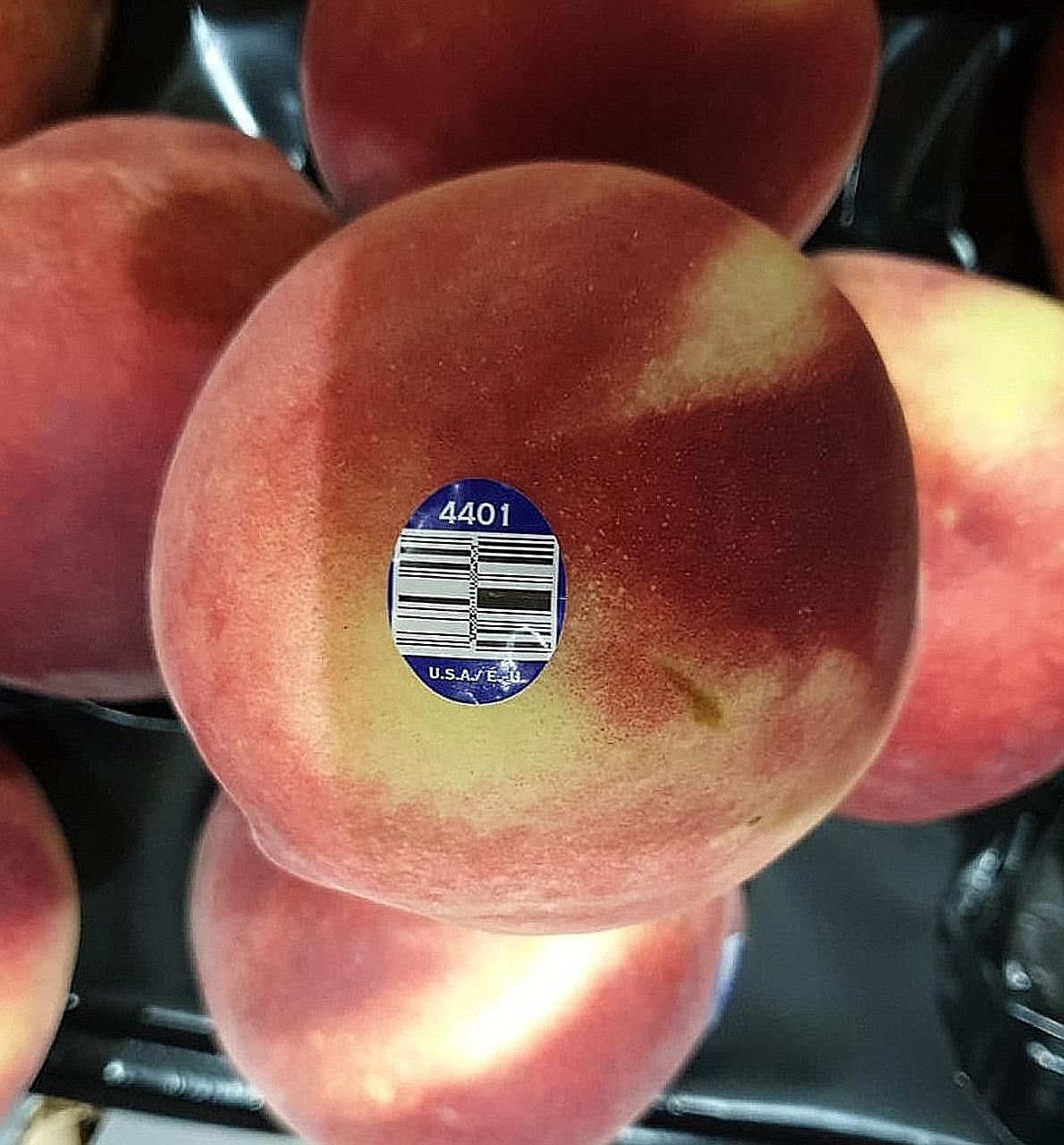 The Singapore Food Agency said on Tuesday that it had told importer Satoyu Trading to recall peaches packed or supplied by Prima Wawona or Wawona Packing Company.