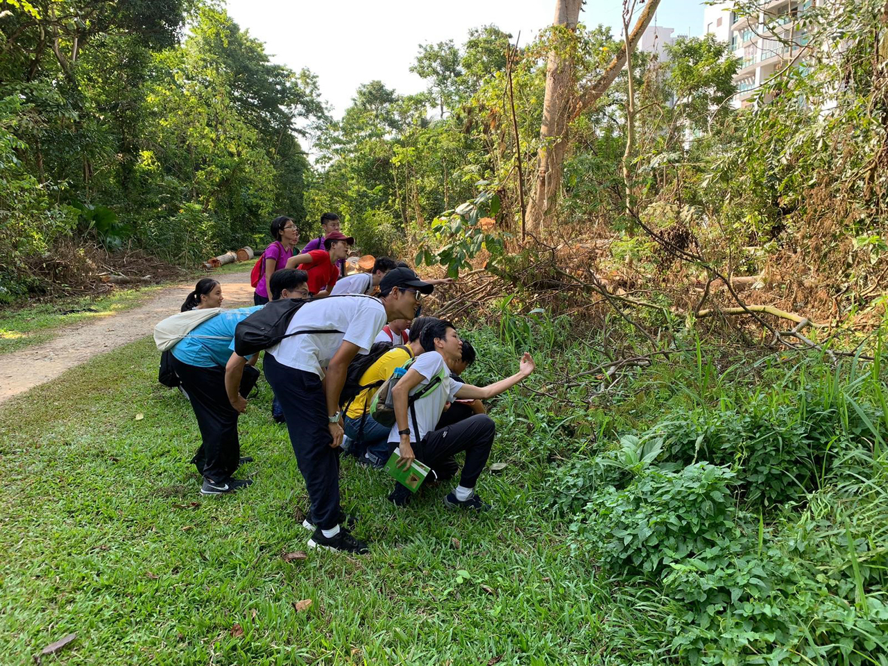 Nparks More opportunities for youth to participate in biodiversity ...