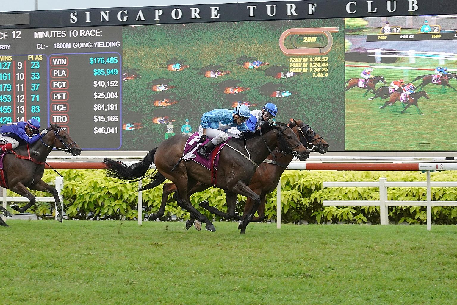 Top Knight (No. 2) getting up in the last few strides to beat Elite Incredible in the $500,000 Group 1 Singapore Derby over 1,800m at Kranji yesterday.
