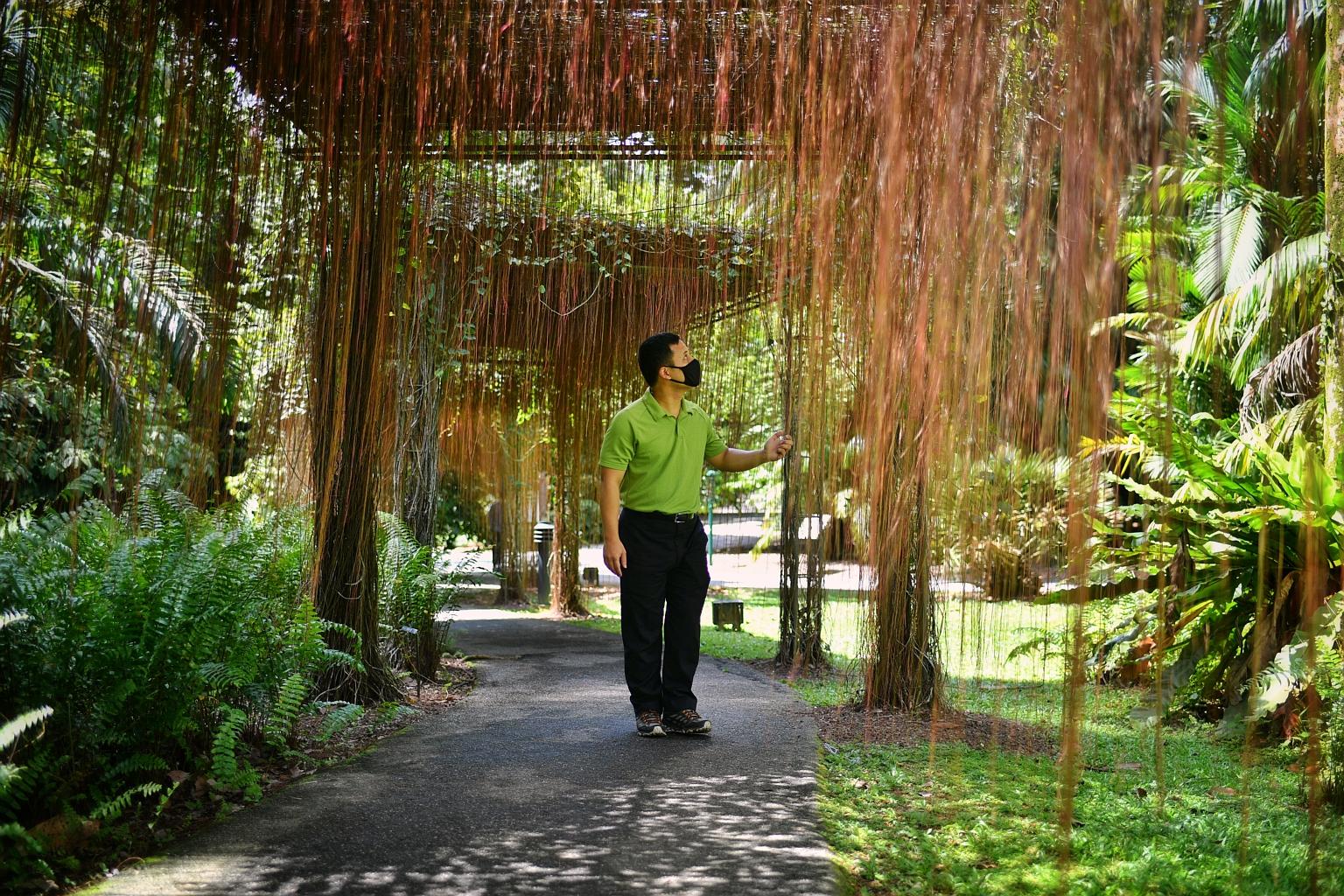 Minister for National Development Desmond Lee at the Botanic Gardens last Wednesday. The new City in Nature concept includes a more aggressive push to protect green spaces and change the way parks are designed, so they look more natural and less mani